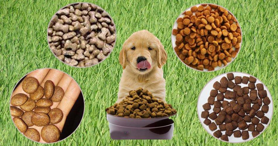 依瑪 | 噴碼機在寵物飼料行業(yè)的應用