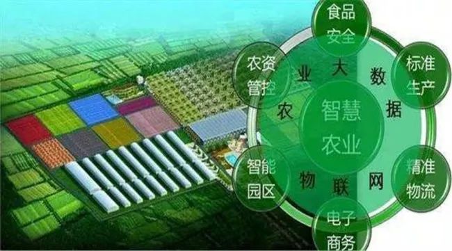 全程追溯，用數(shù)據(jù)把好農(nóng)產(chǎn)品“生產(chǎn)關(guān)”